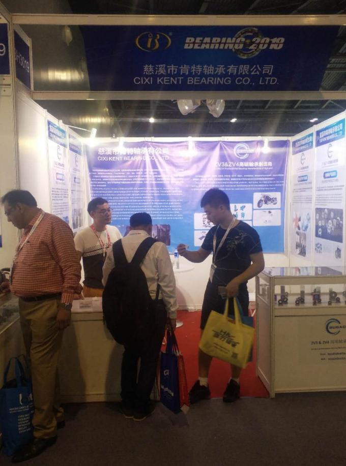 China′ S Professional Bearing Factory Hot Sale Deep Groove Ball Bearing 6009 45*75*16mm